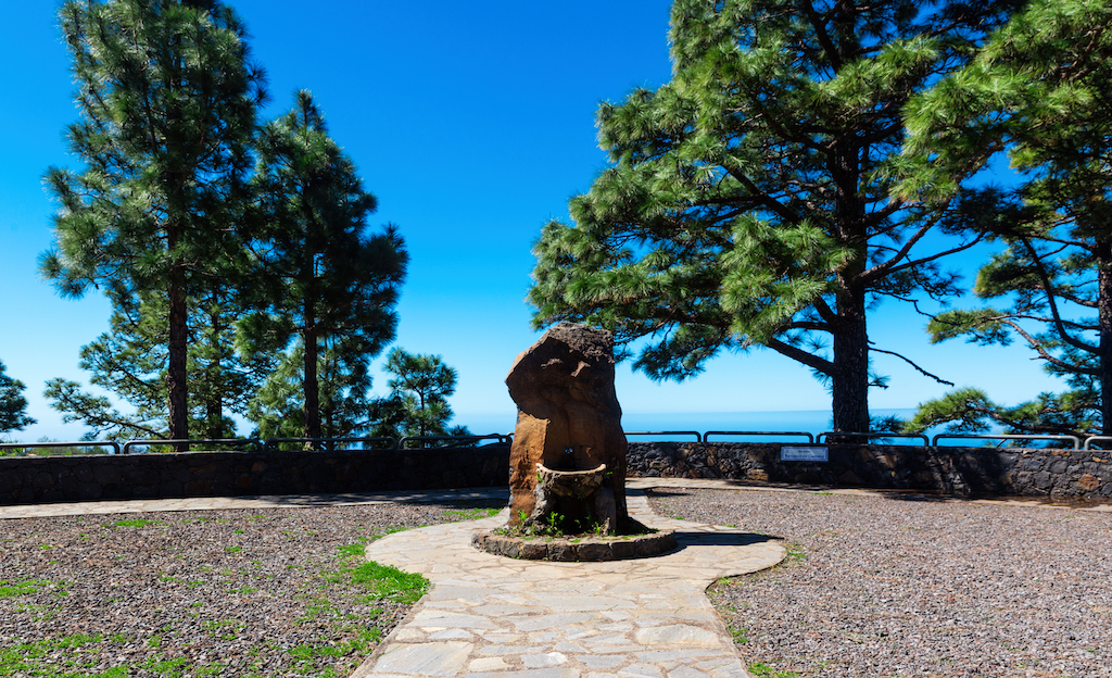 Mirador de Garome among pines with sea views