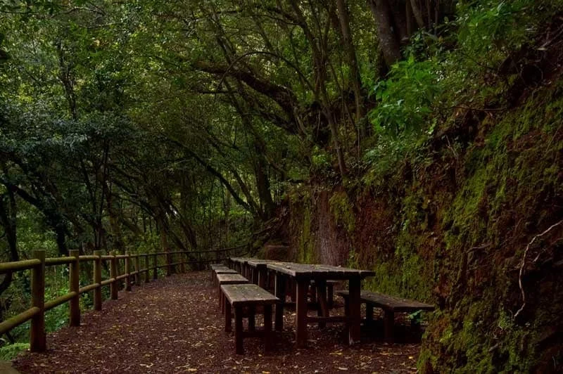 Las Mimbreras Spring in La Palma near Casa Arash
