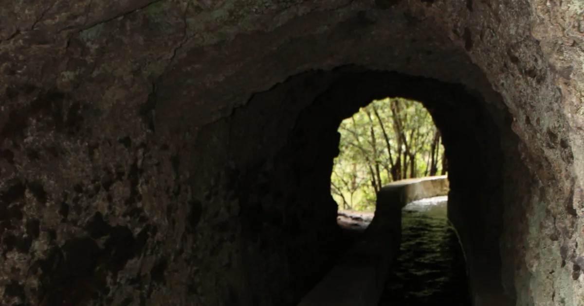 Marcos and Cordero Springs in La Palma near Casa Arash